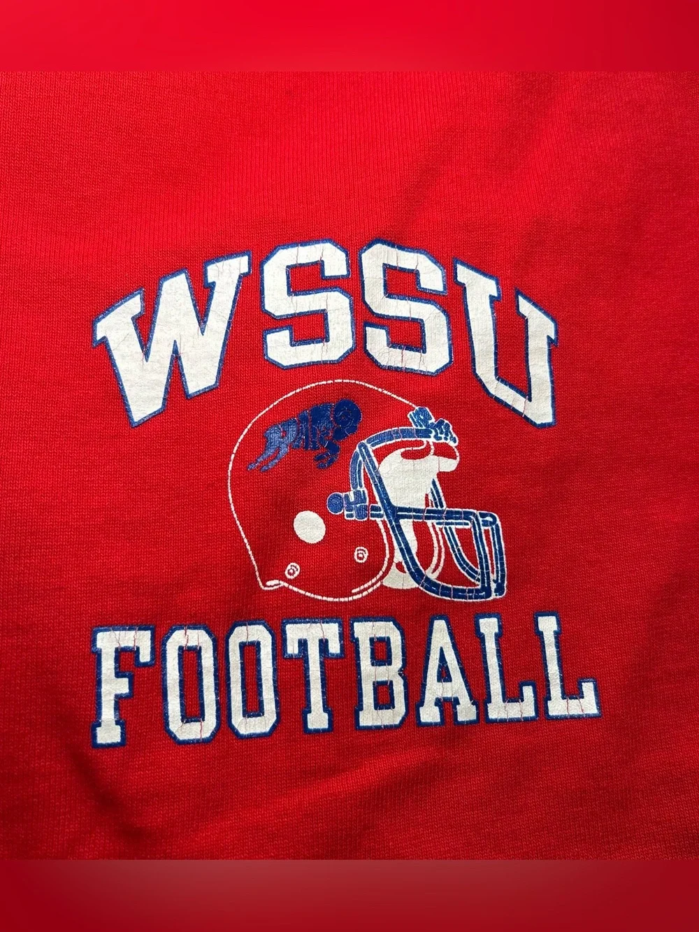 Vintage 80s Champion WSSU Rams Football Men’s M Shorts Winston-Salem Red USA